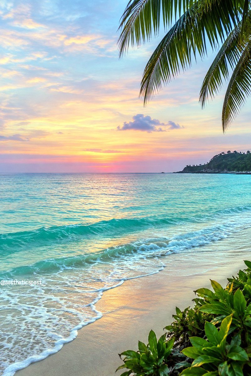 aestheticspost_ tweet picture