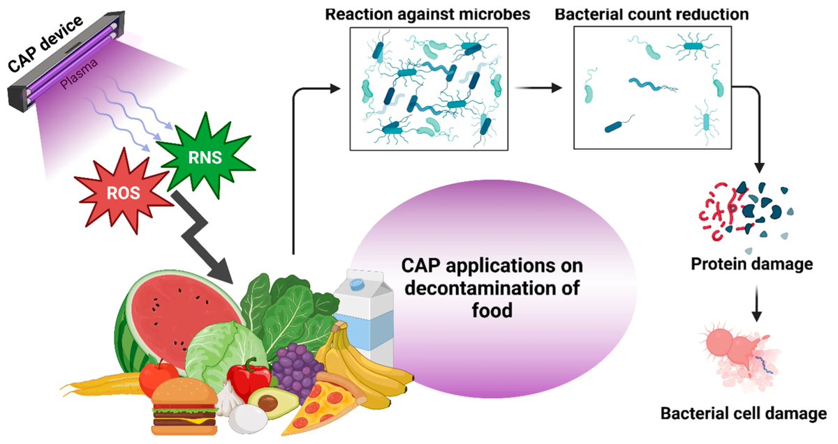 Plasma_MDPI's tweet photo. ๐ฆ โก Highly cited research in Plasma!
A Review that explores advances in plasma-based food decontamination and the mechanisms behind microbial inactivation:
https://t.co/L2p2iDKH5E
#Plasma #FoodSafety #FoodScience #ECOLI #PlasmaTechnology @MdpiPhysci https://t.co/F3WgSteiFR