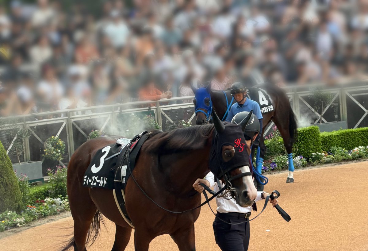 KaitonP's tweet photo. JRAアニバーサリーデー、中山競馬場行ってきました。KASUYA休業で敗北でした！
午前中は別の馬の予定があって現地では最後の3レー���しか観戦できなかったけど現地観戦はやっぱり熱気があって楽しい！(中継見ながら買った馬券は絶好調でしたが、現地観戦したレースはさっぱりでした☺️)
#よしみ屋 https://t.co/BVpRDkleIw