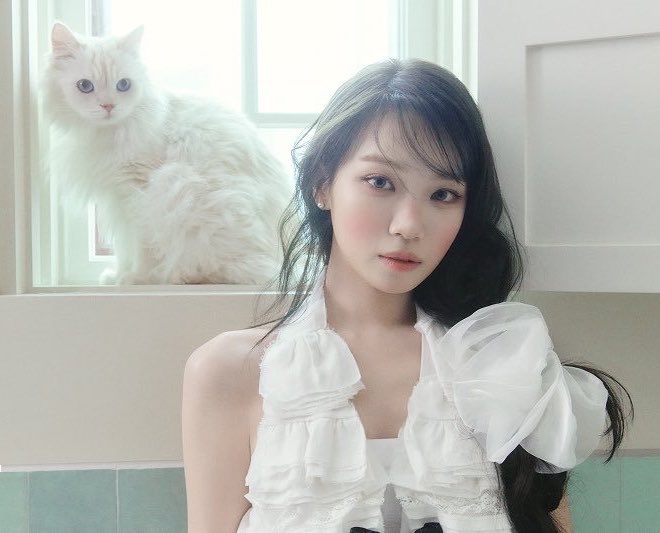 0801FILM's tweet photo. 🐱🤍 #CHAEWON https://t.co/kHjX2Gy3PJ