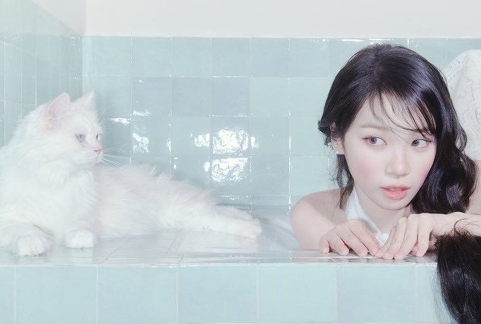 0801FILM's tweet photo. 🐱🤍 #CHAEWON https://t.co/kHjX2Gy3PJ