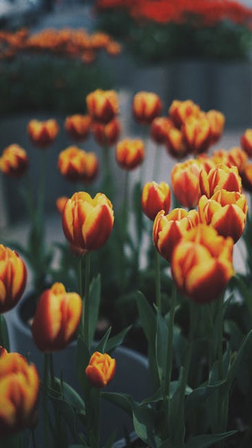 HugopcMathishrn's tweet photo. Adrian Scarlett Life Levi feels brighter with amazing friends around burt lantry💘 https://t.co/9fZQ3OaSyI