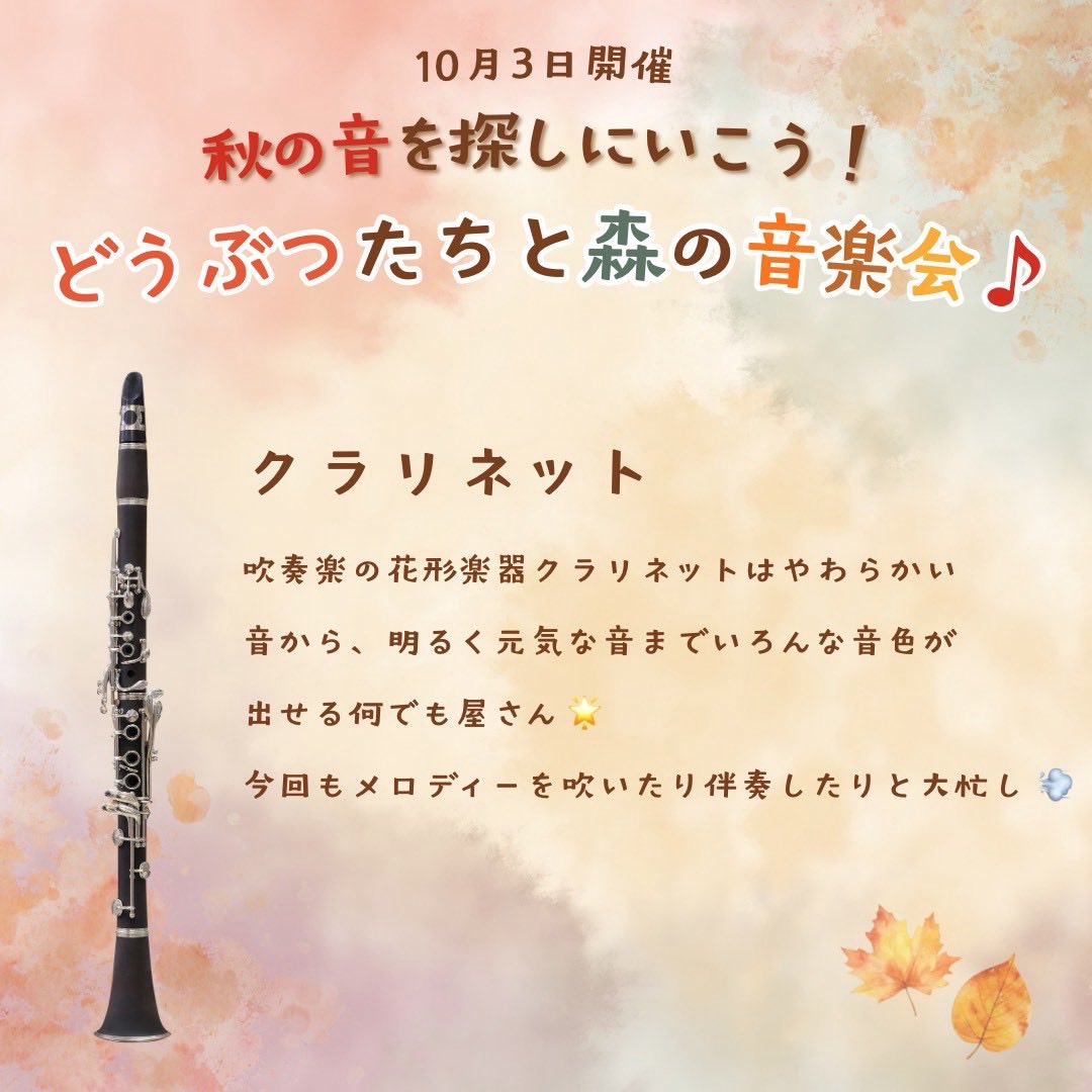 mebaemusic's tweet photo. 🎵クラリネットはどんな楽器？

やわらかい音から明るく元気な音まで、いろんな表情を持つクラリネット🎶

吹奏楽・オーケストラ・ジャズで大活躍✨ メロディーも伴奏もこなす大忙しの楽器です！

🍁10/3(土)はクラリネットの音色と一緒に、秋の森を探検しよう🐿️🍂

🎟️ご予約受付中！🌟 https://t.co/cp12a8dPNl