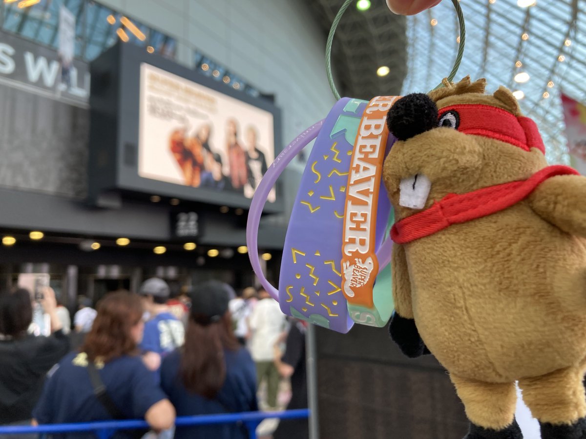ritomarusuu's tweet photo. 大阪ぶり、いくわよ🦫 https://t.co/XXW85zdK0a