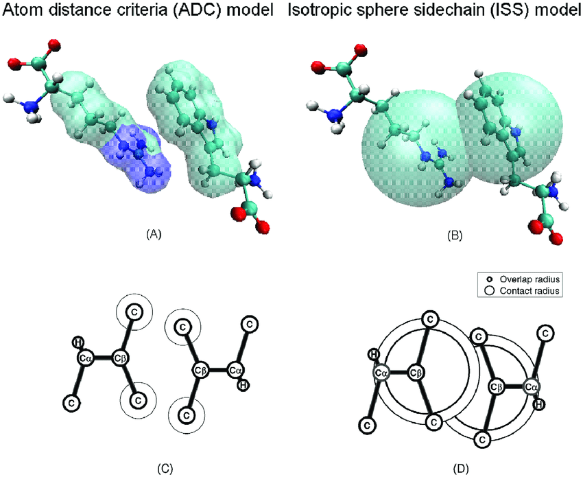 PonchemAI's tweet photo. Flexible side chains (upcoming) 

Next on the Ponchem bench: flexible side chains. Today every docking test uses a rigid protein, so each score can be checked on chain. We're working on letting a few pocket residues move, so a compound can nudge a side chain aside the way it does in a real protein. The goal is the same guarantee: a pose the contract can still verify, now in a pocket that breathes a little.