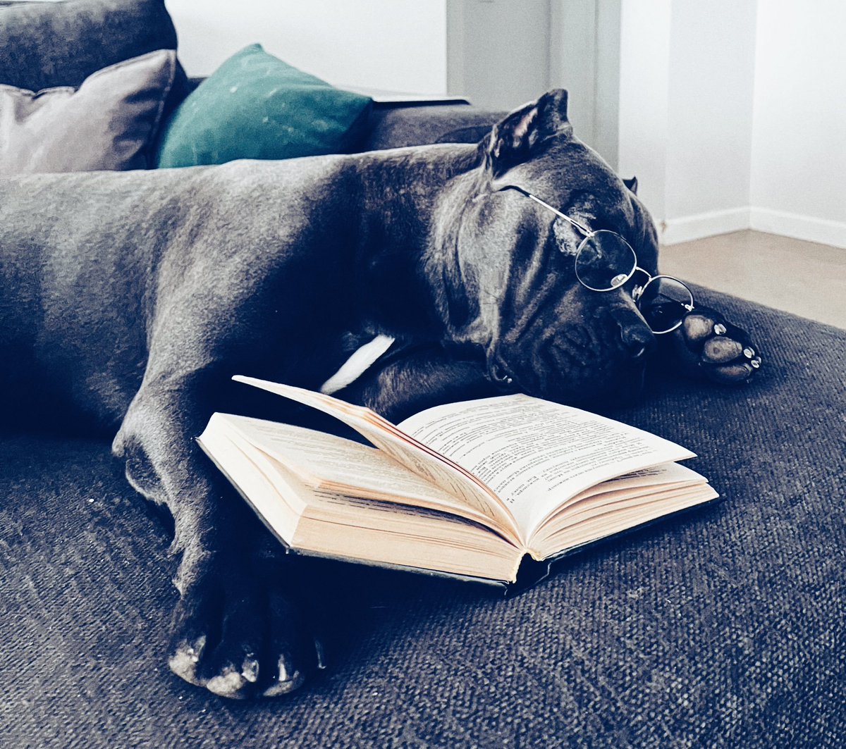 veesilest0's tweet photo. My favorite pal 😜🐶🍆🐾

https://t.co/xRCH7ZW2NB 

#zoosex #animalporn
#zoophillia #zoosarevalid #beastiality #dogknot #zooprideisvalid #zoophiletwt 
#zootwt #zoopositivity #Zoophilia #Zoo #Bestiality #doglovers #usa #artofzoo #dogwhole #knotty #dogpill #dog #dogknotty https://t.co/XNTTACOXHi