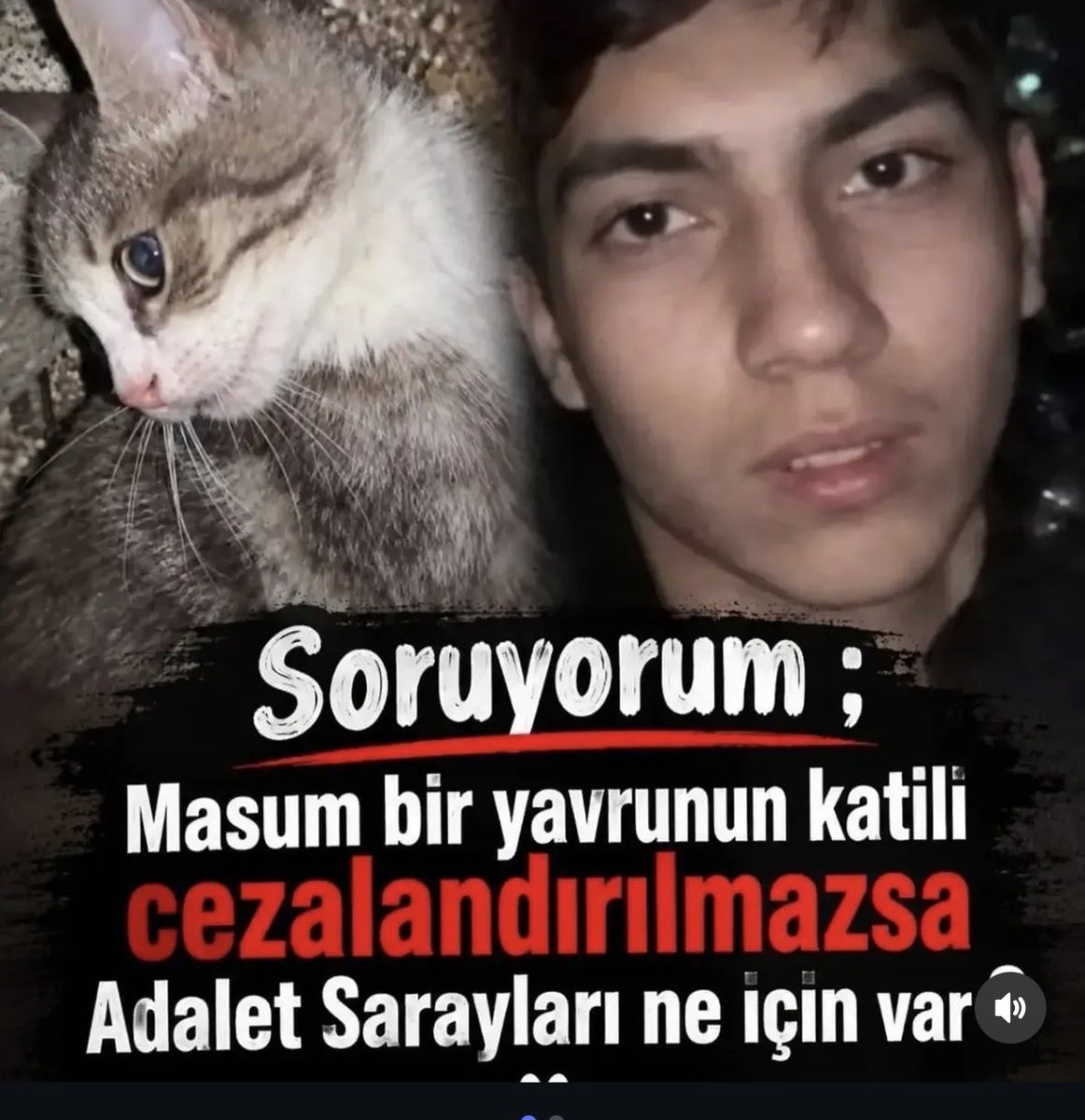 devrandemir_'s tweet photo. Uyardık!
Söyledik!
Sokak hayvanlarına yapılanlar insana yapılacakların ilk adımıdır. Bugün o yavru kediye yapılan işkenceye sessiz kalanlar okul saldırısına şaşırıyor, ben şaşırmıyorum! 
Sokaktaki güçsüzü korursan kendi çocuğunu korumuş olursun.

#manisa
#saldırı
#OkulGüvenliği https://t.co/2C2lTbZaCx