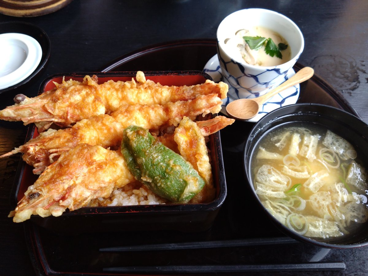 krh13's tweet photo. 昨日、家族で外食してきた🐱
���海老天丼、最高すぎた(*´﹃｀*)♥ https://t.co/kLh2kwI6Xd