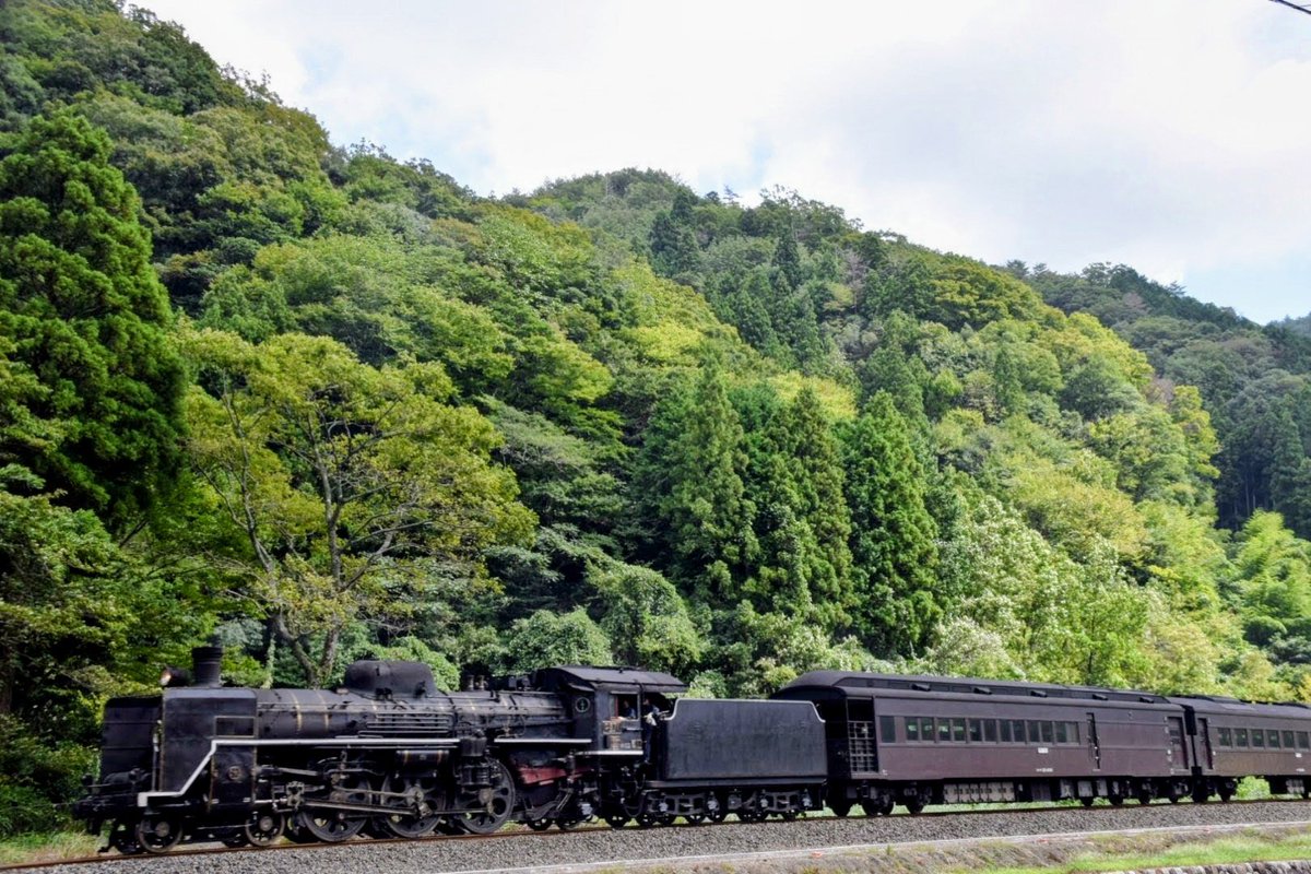 maqueen000's tweet photo. 今日も、シゴナナの試運転を見てきました。
本運行に向けて、いい感じに仕上がってるんではないでしょうかね。 https://t.co/xE6idsO6Yg