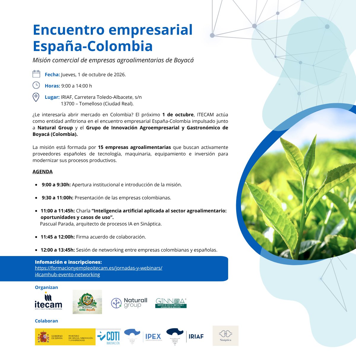itecam_CT's tweet photo. El próximo 1 de octubre, #Itecam acoge el Encuentro Empresarial España-Colombia con una delegación de 15 empresas agroalimentarias que buscan activamente tecnología, maquinaria, equipamiento y soluciones para modernizar sus procesos productivos.

Una oportunidad para que empresas españolas del sector puedan:

✅ Abrir mercado en #Colombia
✅ Conectar con potenciales clientes y socios.
✅ Presentar sus soluciones tecnológicas.

¿Quieres participar?

📅 jueves, 1 de octubre de 2026
⏰ 9:00 a 14:00 h
📍 IRIAF, Carretera Toledo-Albacete, s/n. 13700 – Tomelloso (Ciudad Real).

Si tienes una solución para el sector agroalimentario, Colombia puede ser tu próximo mercado. Inscríbete 👉 https://t.co/YCNAJ7jpw7

Organizan: #Itecam, Grupo de Innovación Agroempresarial y Gastronómico de #Boyacá (Colombia), Naturall Group y Ginnoa (Instituto de gestión, innovación y aceleración de negocios).

Colaboran: @cdti_innovacion , @Ipex_clm, #IRIAF- Instituto Regional de Investigación y Desarrollo Agroalimentario y Forestal de Castilla-La Mancha y #Sináptica