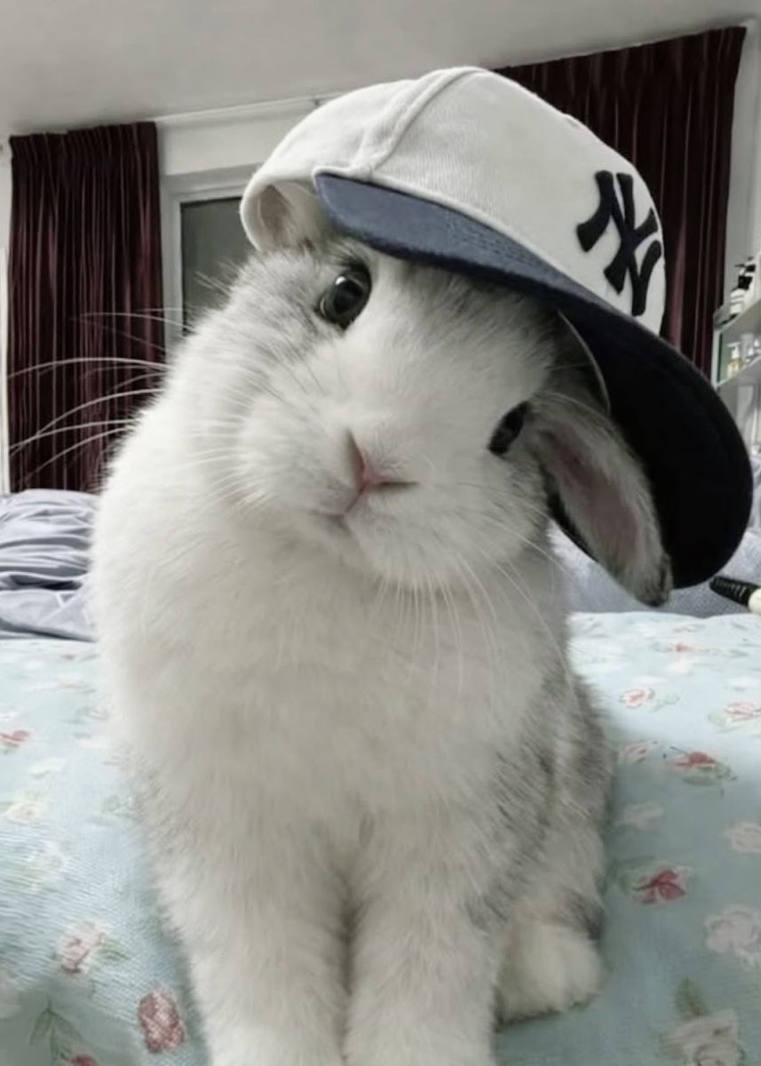 meowrurubun's tweet photo. coppy  ₍⑅ᐢ..ᐢ₎                      paste 🐇🐰 https://t.co/MrP10HMmf1