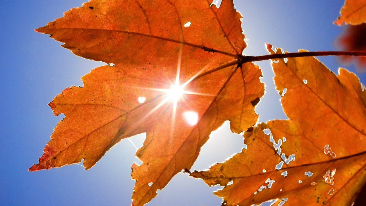 nicolegrant820's tweet photo. I ❤️ Fall🍁🍂

#firstdayoffall2026🍁 #fall2026🍁🍂 #fallseason🍁🍂🍁🍂 https://t.co/r86LAN6Hb6