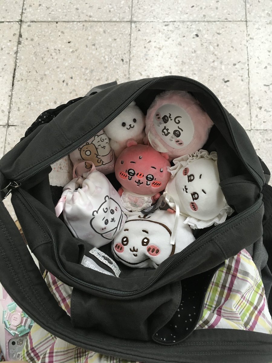 h0621o's tweet photo. 출근할 때도 햄덩이를 이만큼 데리고 다녀야됨
그래야 내가 살아... https://t.co/5uyj3qP4G6