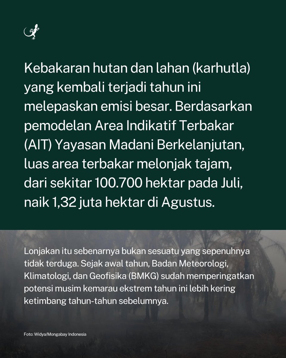 MongabayID tweet picture