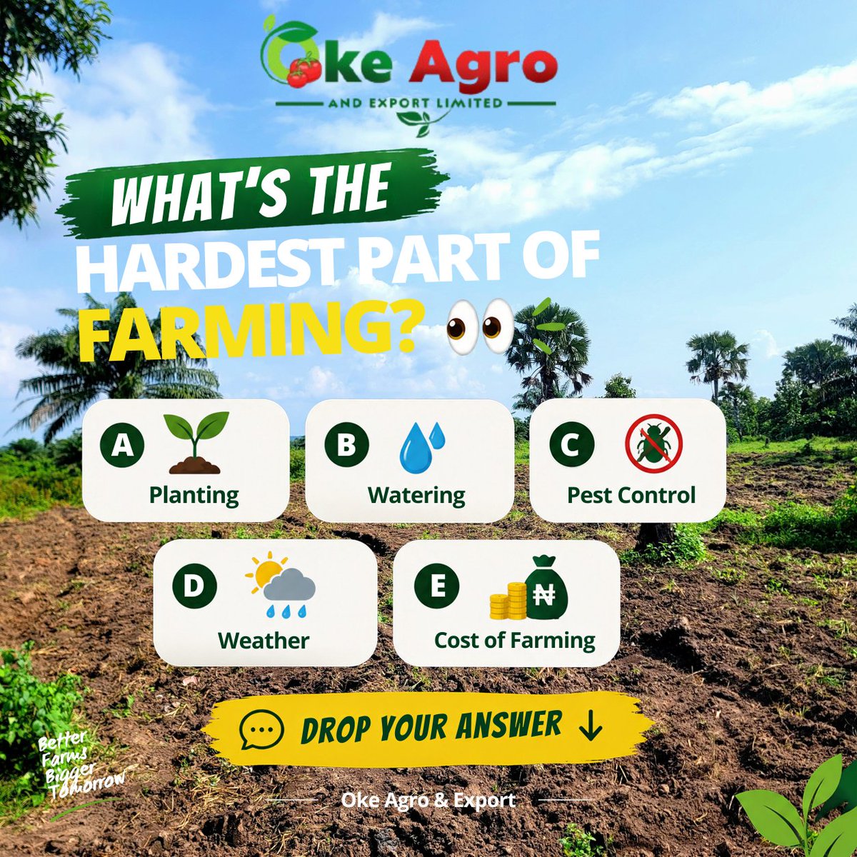 Okeagro's tweet photo. If you had to choose ONE, what’s the hardest part of farming? 🤔

🌱 A — Planting
💧 B — Watering
🐛 C — Pest Control
🌦️ D — Weather
💰 E — Cost of Farming

 Drop your letter below 👇🏽

#OkeAgro #FarmingNigeria   #agribusiness #explorepage✨ #engagementring https://t.co/wGNci66WIs