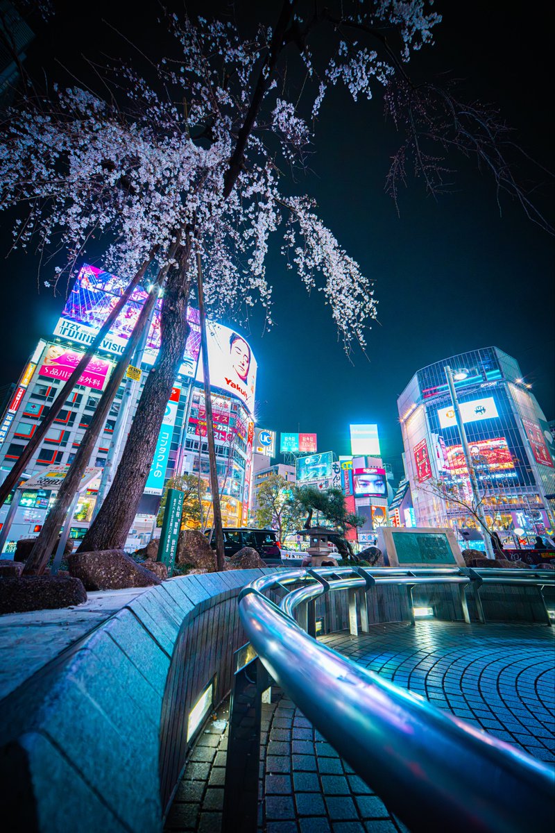 murakami_twi's tweet photo. 夜景とC構図の組み合わせは最高でしょ？ https://t.co/Xy3Tl4EE2W