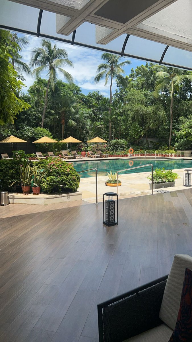 solsohom's tweet photo. the liquidity made it abroad 🌴 https://t.co/toUcoI51NB