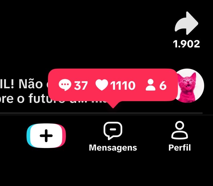 fbrandaoKJ's tweet photo. Usando meu TikTok pra falar do segundo turno https://t.co/d3gv2S8jgg
