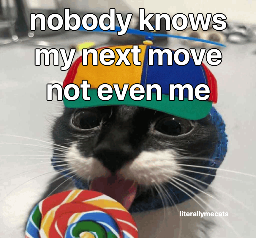 literallymecats's tweet photo. https://t.co/qFqFGoBWpw