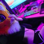 Photo by Mibble 🧡 (@MibbleMerps)