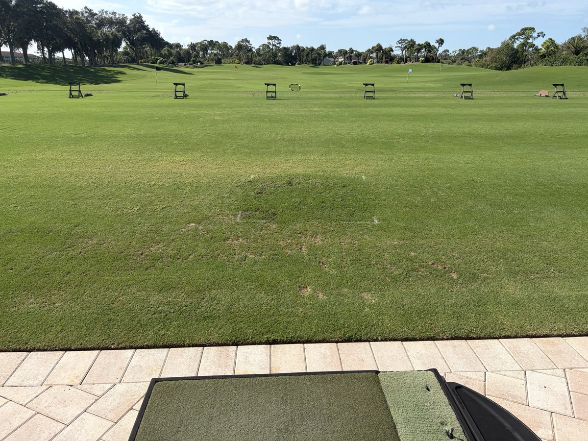 TurfsolutionsFL's tweet photo. Turf Solutions Black Gold was applied 
on this test plot in Sarasota  with high nematode pressure. Product has been down roughly 30 days and the results are incredible! @HillenDamian @JackCreveling @TurfMech70 @BorRazu13 @merrellblake https://t.co/bR68IDIlBf