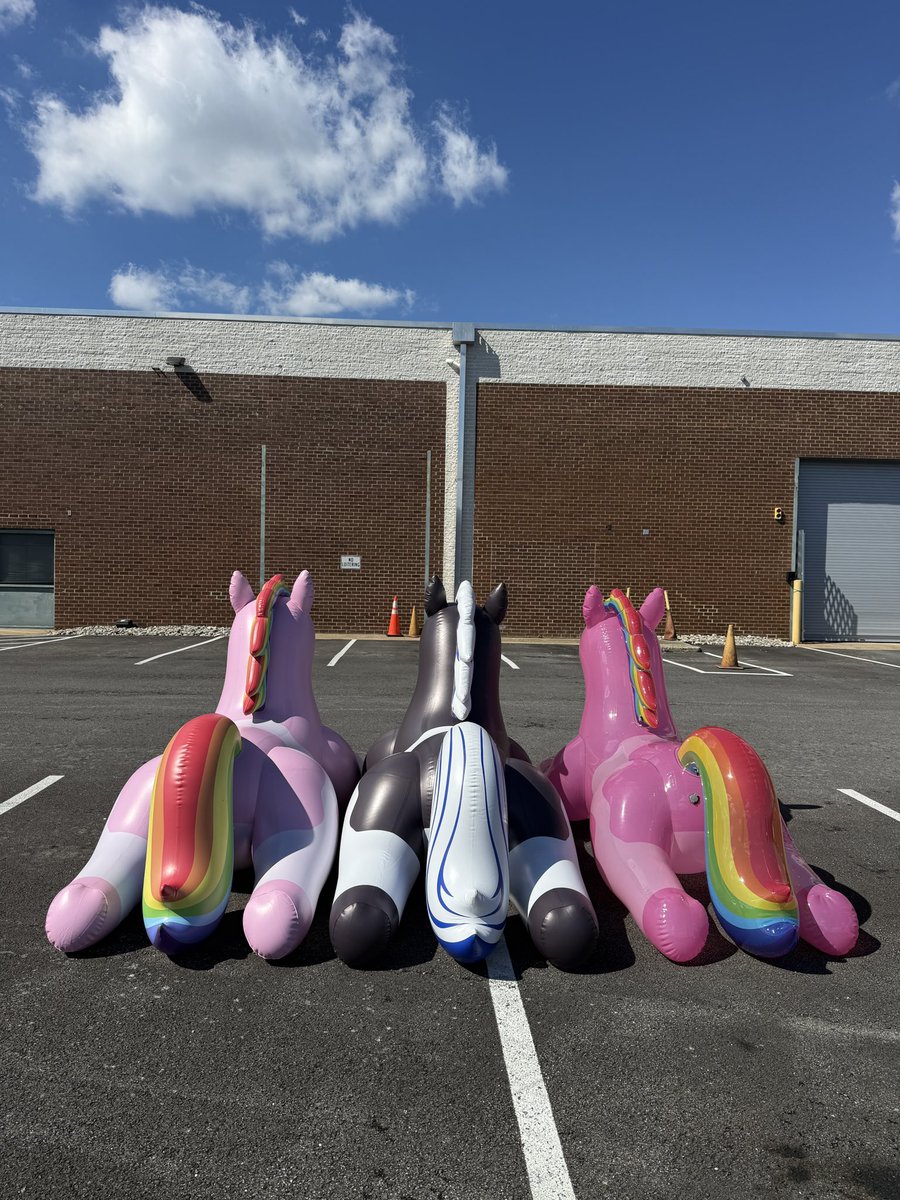 Chloe0905520's tweet photo. Color makes the difference. 
Soft pastel, bold black & white, or crystal-clear pink — same concept, completely different personality.

Which one would you choose? 

#Inflatable #Inflatables #InflatableToy #GiantInflatable #CustomInflatable #TPU #Vinyl #Horse #Pony #RideOn #JetCreations