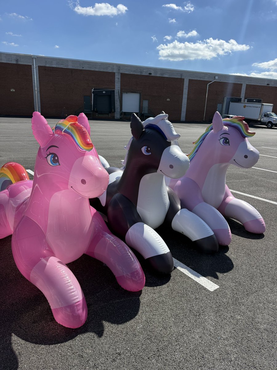 Chloe0905520's tweet photo. Color makes the difference. 
Soft pastel, bold black & white, or crystal-clear pink — same concept, completely different personality.

Which one would you choose? 

#Inflatable #Inflatables #InflatableToy #GiantInflatable #CustomInflatable #TPU #Vinyl #Horse #Pony #RideOn #JetCreations