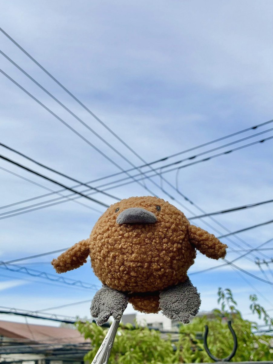 SShorrab's tweet photo. とは言え、出力した後の見直しとニコニコ動画へのアップロード考えると公開は明日の18時が安定やろな… https://t.co/PqMWihHjkL