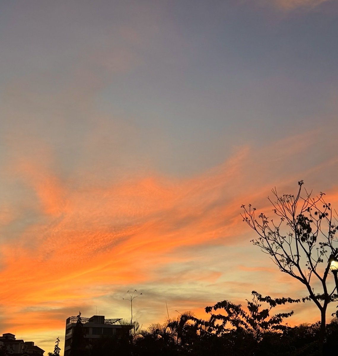 maruaza's tweet photo. โ๏ธ๐ซถ๐ผWishing you a good evening
A few days ago, I took this ๐ธ. Look at it, close your eyes, and feel โจ #sunset https://t.co/V4vGRf0vBo