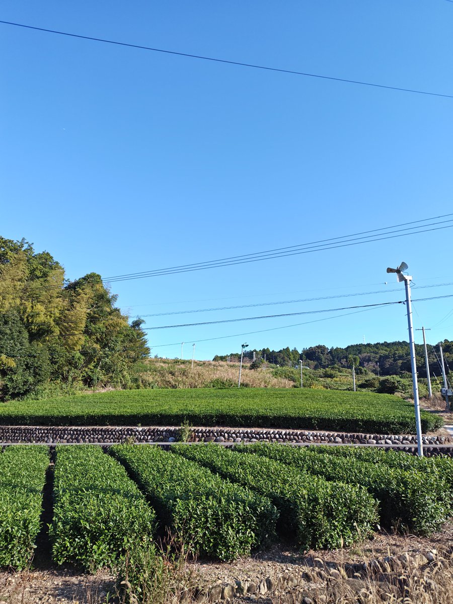 noashimasaki's tweet photo. #イマソラ
#いまそら
#空がある風景
#みんなの風景写真
#空と心は繋がっています 
#田舎の景色
#田舎の風景
#田舎の空
#そら
#空
#sky
#ciel https://t.co/MB72aei3Uu