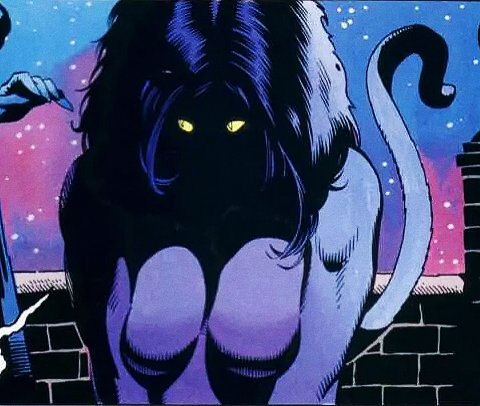 catwenthusiast's tweet photo. Werewolf Selina kyle by kelley Jones https://t.co/5Br4SP1a4l