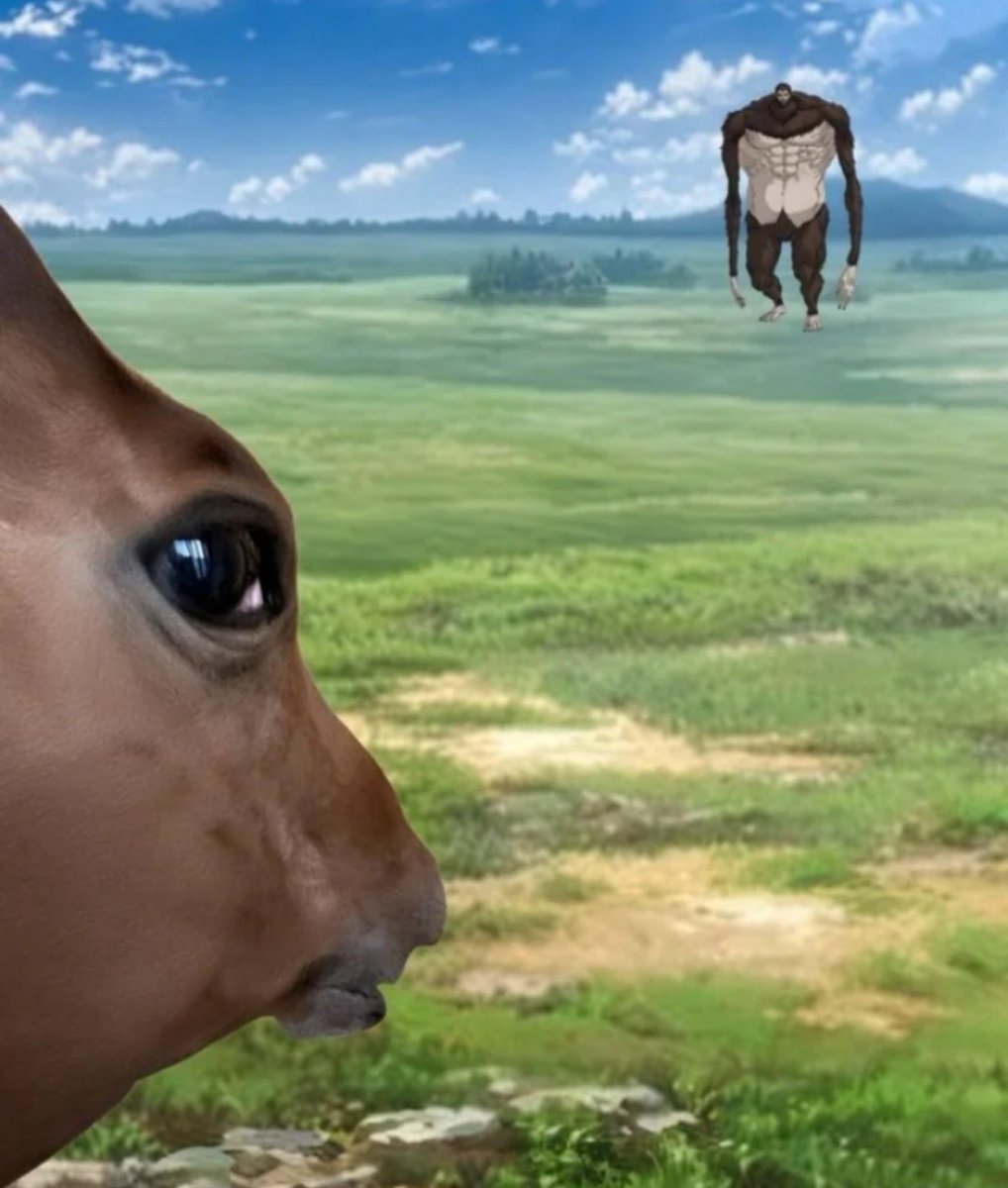 iamjudyyyyyyyy's tweet photo. My horse looking at me after Erwin's speech: https://t.co/QMtc4WgWDL