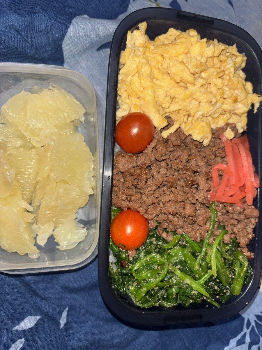 nyxqf447's tweet photo. #お弁当　ほうれん草、挽肉、たまごの3色弁当とグレープフルーツ。今夜は、インスティチュートで、旧約聖書の詩篇を教えます。パワポは準備オッケー？ https://t.co/xys1PC7euW