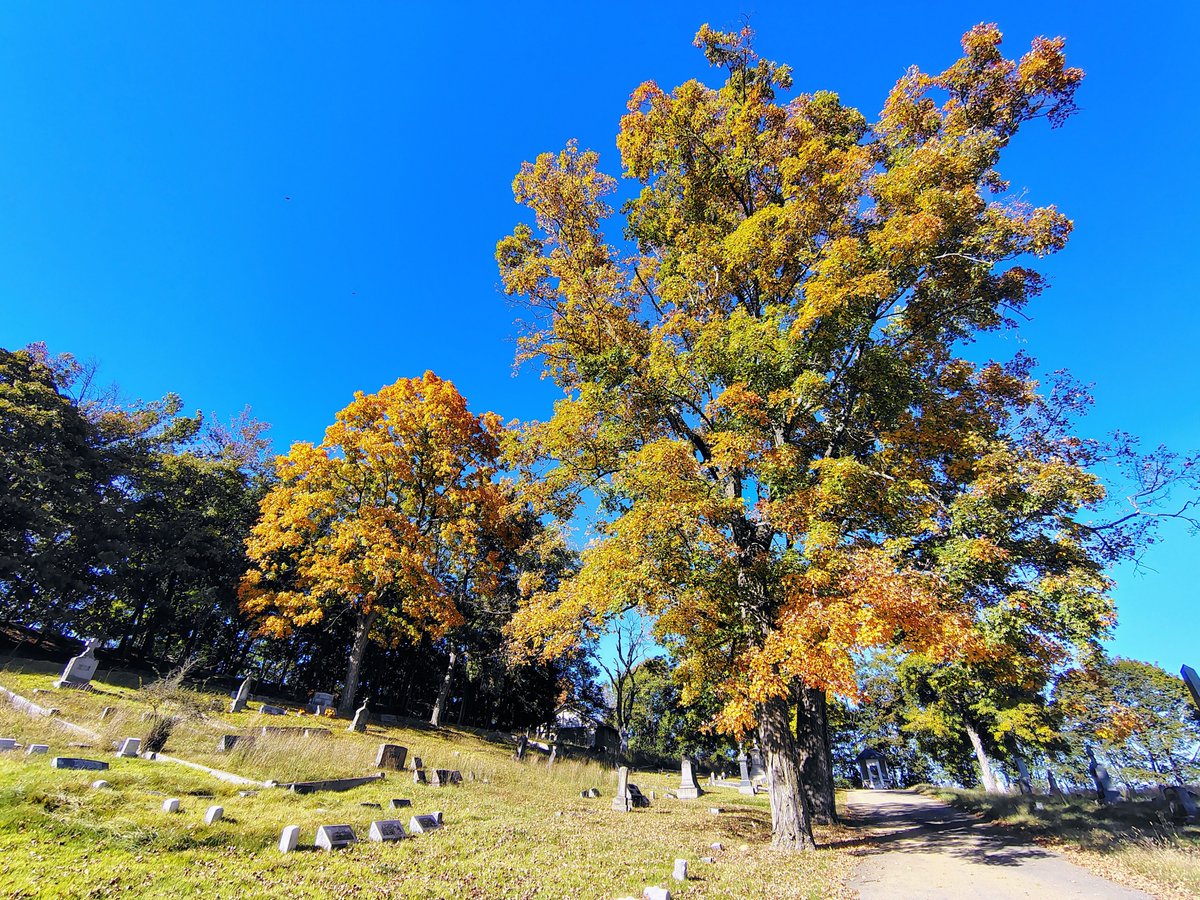 alienwounds's tweet photo. Early Autumn Appalachia; October 2026. https://t.co/4XJxXdkHj1