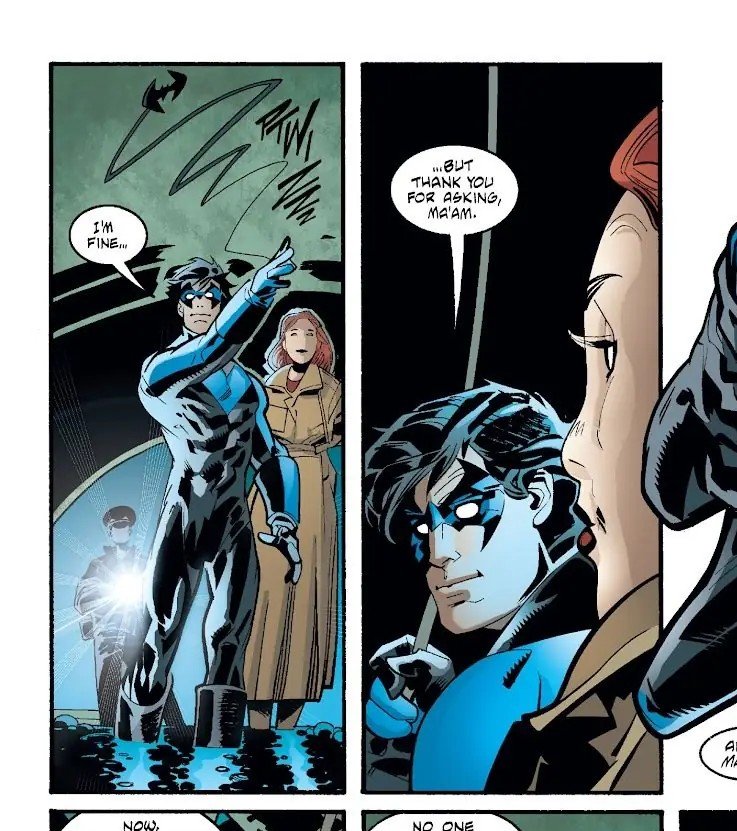 nightwingnovel's tweet photo. @MrKoalahxd like he's just so cute https://t.co/bWkrhaxsik