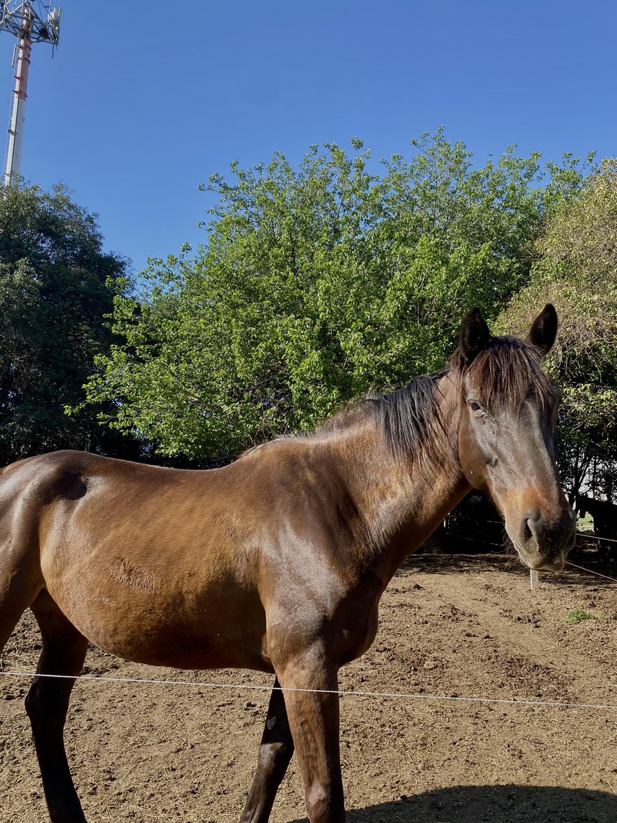ffriiidaaa's tweet photo. Que te regalen flores💞💓🥺
Dump de mi finde🍪🥥🐴🤎 https://t.co/wsOUyLkaG6