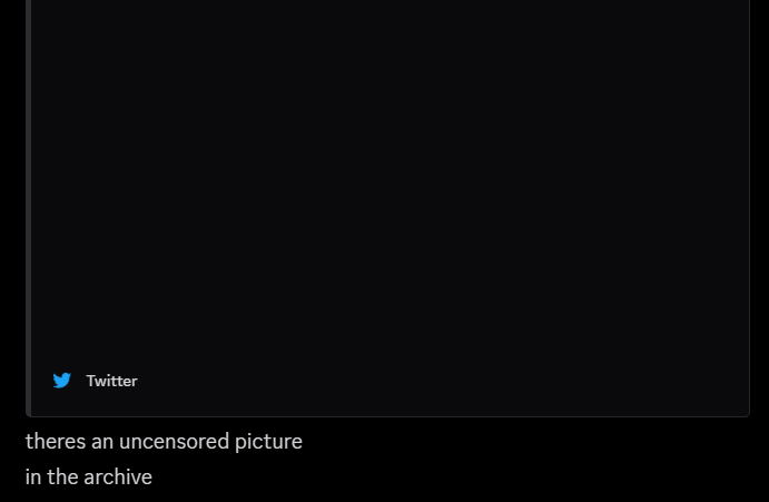 acehowler's tweet photo. so @VuxVux is just blocking people for mentioning his false flagging, his discord is also an insane mess as well, how did your wife think it was okay to not only talk about Nattie Forsyth's dick in a server filled with minors, but also gave a link to access the dick pic bro. https://t.co/XkXI3CMc20