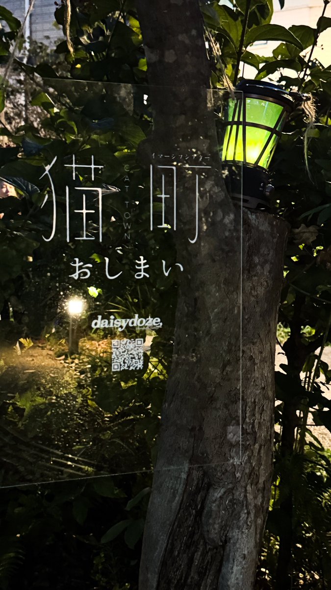 odsgo's tweet photo. やはり最後が秀逸でした。境はどこにあるのか不思議という言葉ではない、迷いでもない、ふわぁっとしたいい意味で自分を信じられない不信感に近い感覚が心地よかった。#猫町 #イマーシブ猫町@daisydoze_ @moonartnight @hellomsyui https://t.co/EIEEBnwJcK