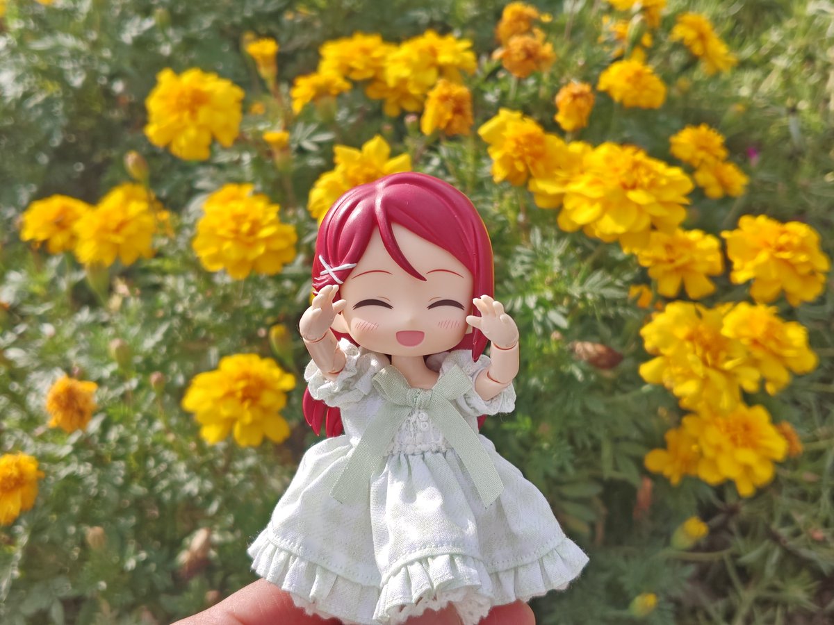 Nurs_9s's tweet photo. あさりこちゃん https://t.co/kew0yLx7Fq