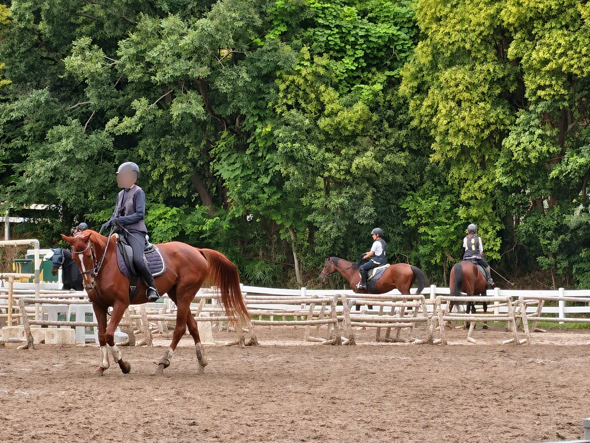 sanyotool's tweet photo. 大阪営業所よりおはようございます🤗
週末、乗馬の練習風景を発見！🐎
背すじを伸ばして颯爽と駆ける姿は、
思わず見入ってしまうほどのかっこよさでした🤠💫
見ているだけで気分もスッキリ🌱
今週も張切って行きましょう👐
#企業公式が朝の挨拶を言い合う
#企業公式つぶやき部 https://t.co/b7DPh6LbDP