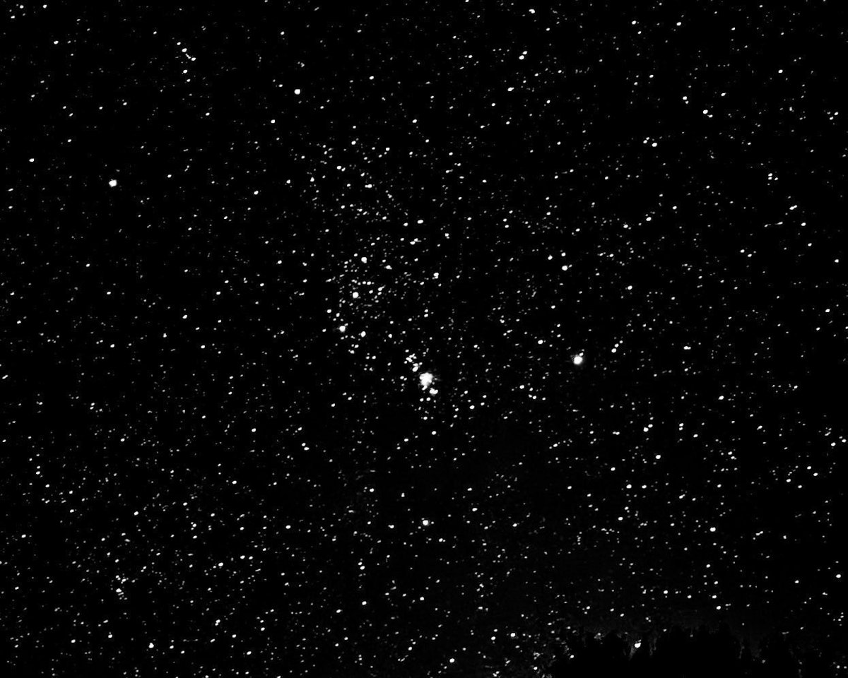 sage_astr's tweet photo. orion https://t.co/lMN3Gqeqxk