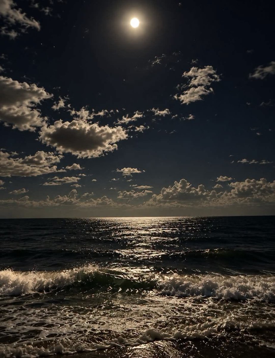 NuitEnVelours's tweet photo. I hope I never tire of looking at the sky, the sea, waiting for rain, being excited about movie or book, enjoying favorite food, nature flowers and night ..

This world is ugly and people are cruel and I hope I never become someone who can no longer see the small beautiful things https://t.co/OVNh6IvzGq