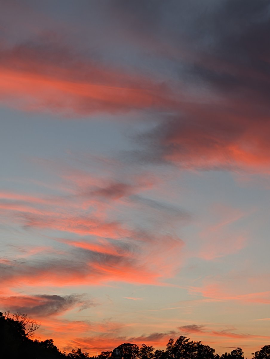 schultzmt8's tweet photo. Magical sunset skies! https://t.co/qDPctjt4Px