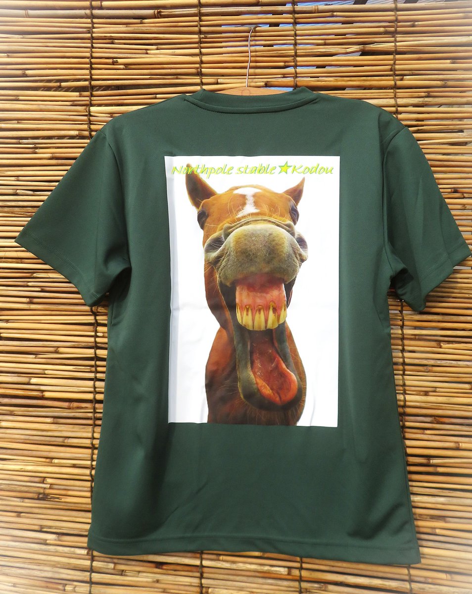 TKodou48390's tweet photo. Tシャツ作ってみました＾＾
アイビーグリーン　前無地のバックプリントです
左【のほほ～んチョウスケ】右【ギネスの大あくび】
各4000円　送料500円
17名の馬たちの維持費を作るために色々模索しています(^^♪
お問い合わせはFBメッセンジャーまでお願い致します
https://t.co/CB2Bh50tQz https://t.co/ICnzZesgYF