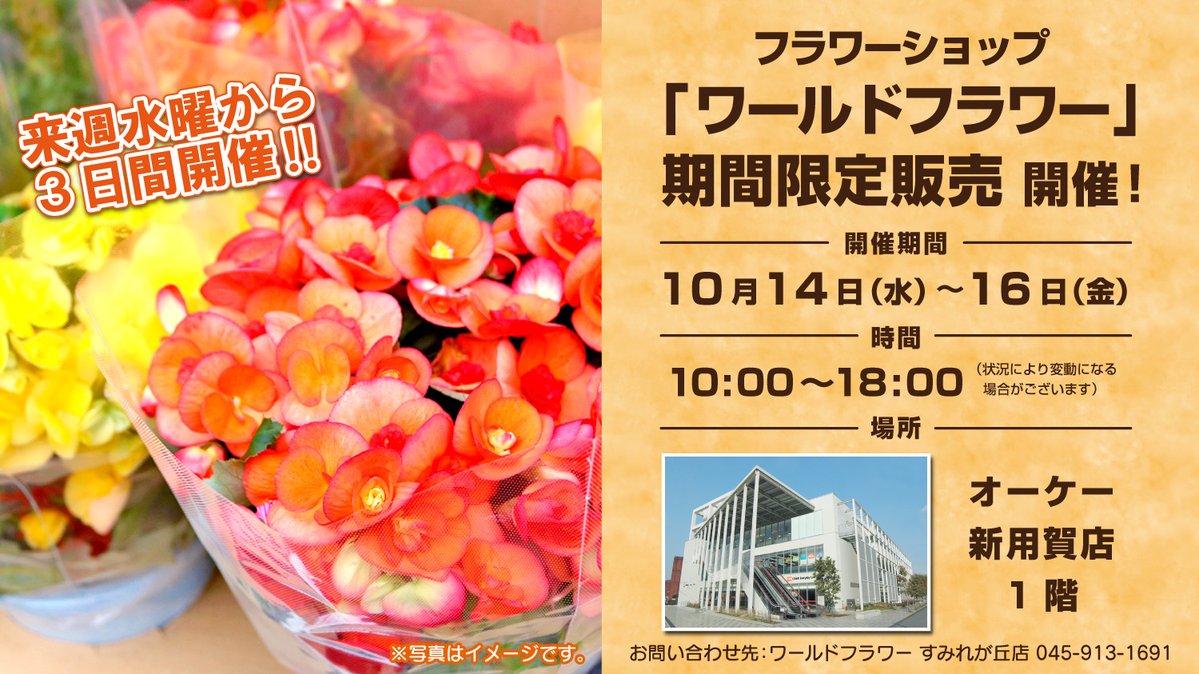 OK_EDLP's tweet photo. ⠀/／
📣来週水曜より開催💐
 \＼

#ワールドフラワー が #オーケー 新用賀店にて
10月14日(水)～16日(金)までの3⃣日間、
期間限定販売を行います㊗️🩷

季節のお花を多数ご用意して
お待ちしております😍❣️

#花 #ガーデニング #花のある暮らし https://t.co/Xgjw2GXgne