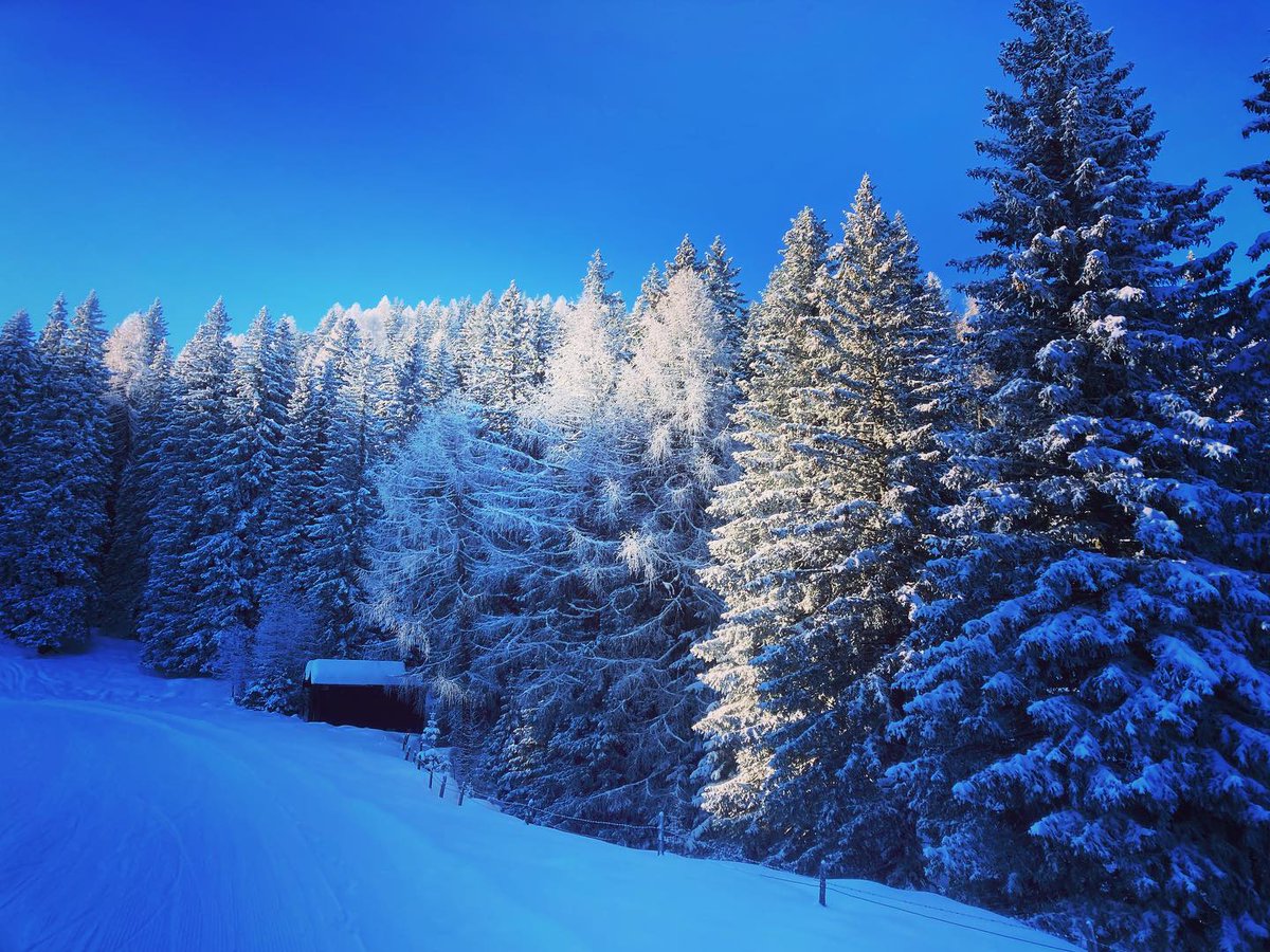 randallfar9rg's tweet photo. Winterwunderwelt: Auch wenn es frostig ist, geht raus. Die Natur ist die beste Heilerin. Nichts ist so kraftvoll wie ein Tag in den Bergen. https://t.co/w1DfMazlOf