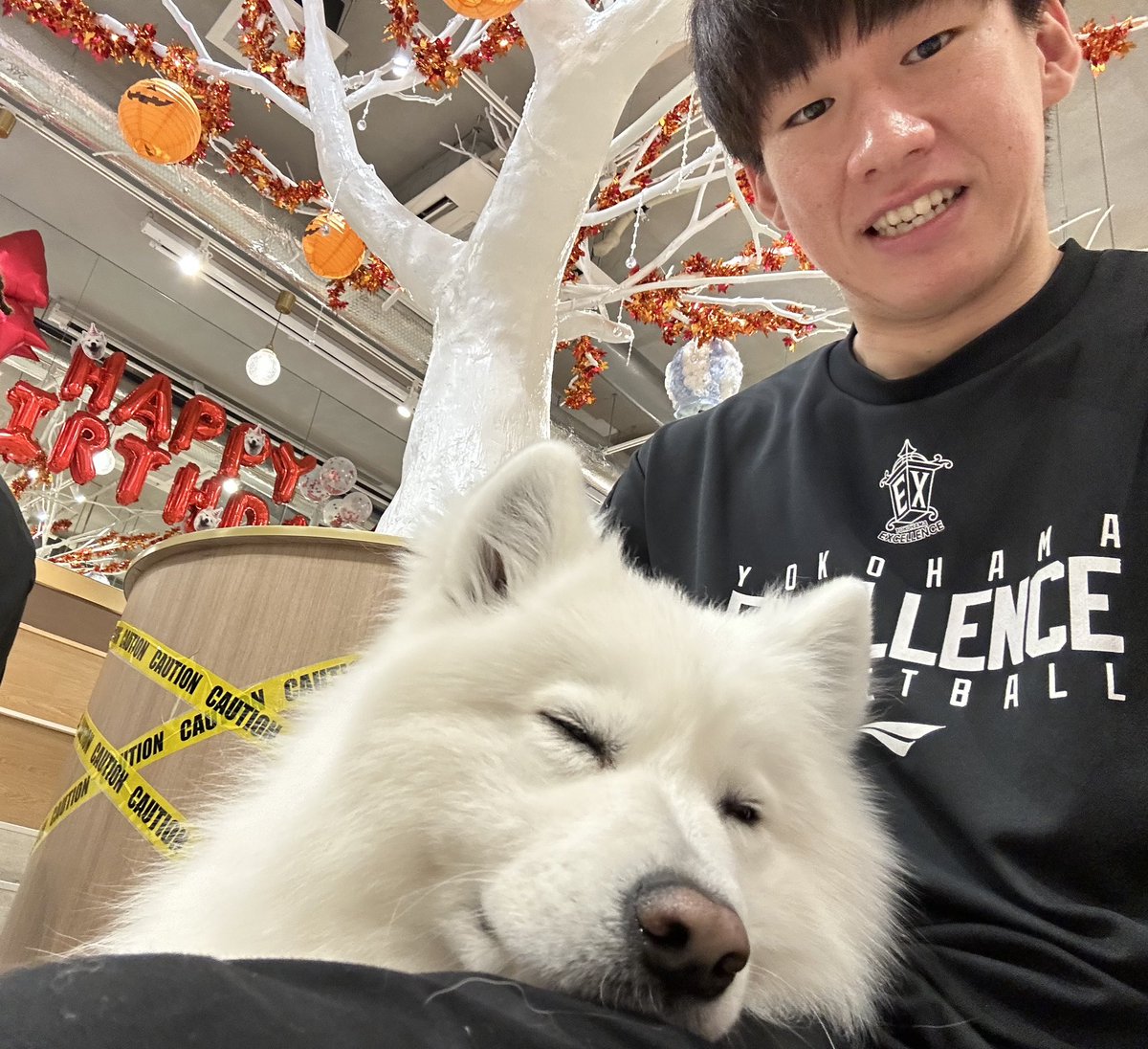 yokohamaex_'s tweet photo. ＼Best自撮り📸🐶／

先日のコラボ企画にて、各選手がサモエドとの自撮り写真撮影に挑戦📝

さらに動画内では審査員を務めた #西山達哉 AGM(@9yanyan9 )も撮影を楽しむ選手たちの様子を撮影していました📸

皆さんはどの写真がお気に入りですか☺️❓

@Hiro_0405_ @baskeb1011 
#横浜エクセレンス https://t.co/JLifejRJxl