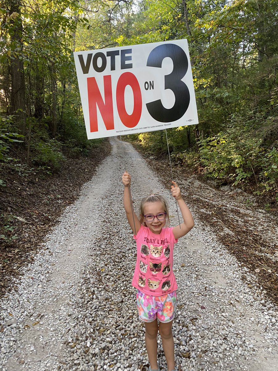 hmshd3's tweet photo. Voting for our future! @MoDemParty @MoDem #FutureReady https://t.co/X3JVhcACXZ