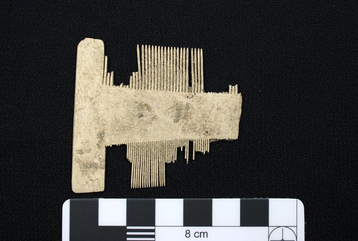 SC_State_Parks's tweet photo. Archaeology gives us insight into the common aspects of life, like combing your hair. Combs could be expensive or cheap and simple.  This comb, a find from the town of Dorchester, was made from bone. Learn more about Colonial Dorchester, here: https://t.co/CM6TwjCnyg https://t.co/vp5oSH31J2