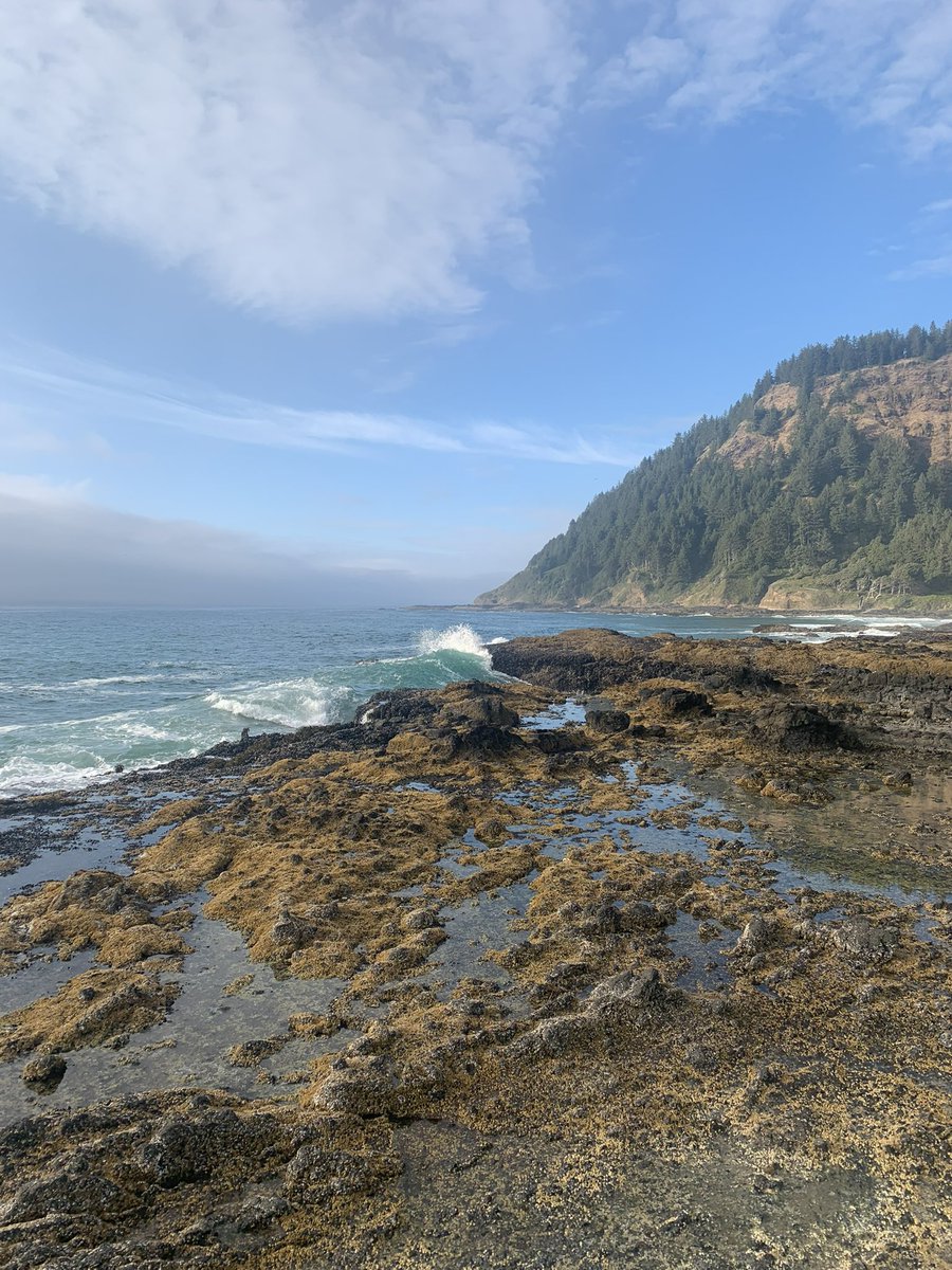 parkerjlathrop's tweet photo. Here’s your periodic reminder that Pacific Northwest is easily the most beautiful part of the US. https://t.co/9hQGK93kLP
